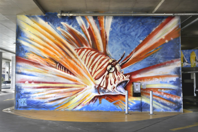 yeppoon-carpark-lion-fish-outthere-co-691x461.jpg