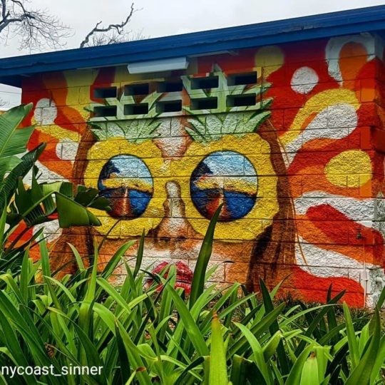 https://www.sailinn.com.au/wp-content/uploads/2019/05/pineappple-glasses-yeppoon-street-art-540x540.jpg