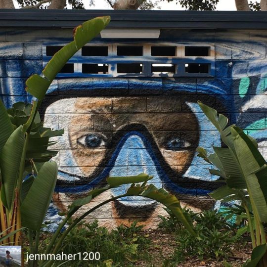 https://www.sailinn.com.au/wp-content/uploads/2019/05/snorkle-yeppoon-street-art-540x540.jpg