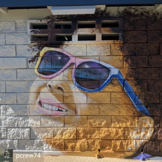 https://www.sailinn.com.au/wp-content/uploads/2019/05/sunglasses-yeppoon-street-art-540x540.jpg